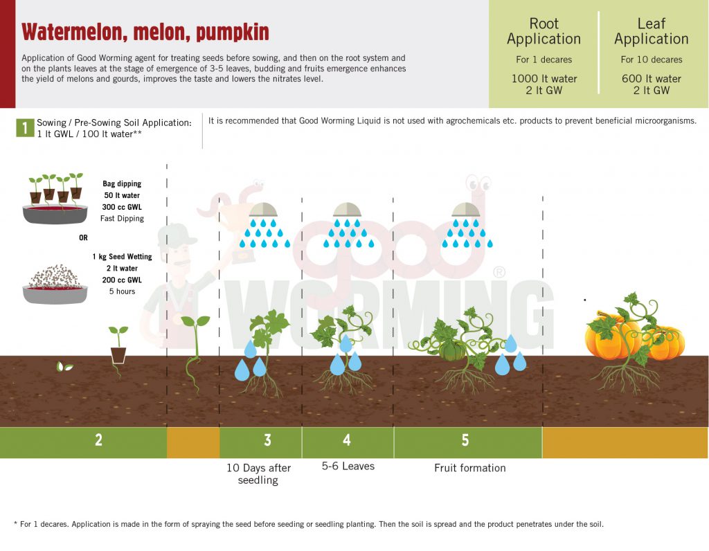 IND Watermelon, melon, pumpkin Good Worming